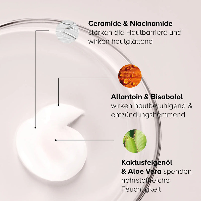 Inhalsstoffe Darstellungsbild Creamide &  Niaciamide, Allantoin & Bisabolol, Kaktusfeigenöl & Aloe Vera