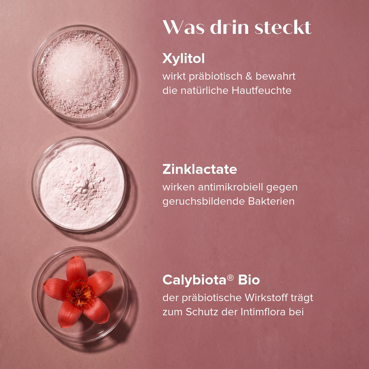 Ingredients in the Intim Deo: xylitol, zinc lactate and Calybiota Bio, juno&me