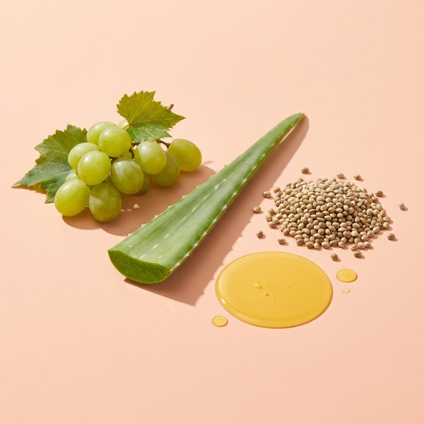 Aloe Vera spendet Feuchtigkeit und lindert Reizungen